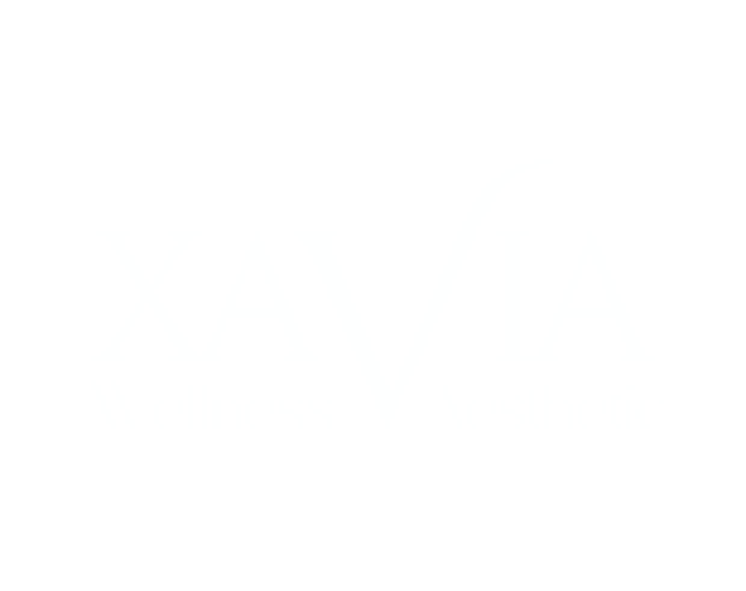 xaviawellnessaesthetic.com
